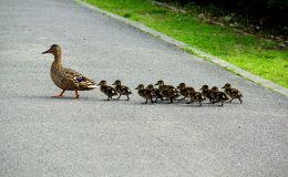 Lee’s Two Word Tuesday –&nbsp;2/23/16