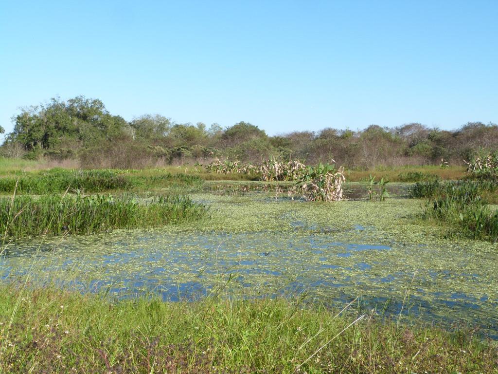 Circle B Bar Reserve by Lee