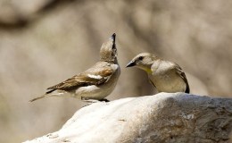 Thought For The Day….  How much do we&nbsp;notice?