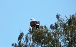 Lee’s Seven Word Sunday –&nbsp;9/11/16