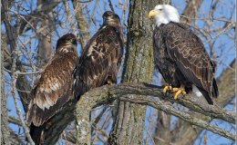 Hannah’s Teachable Moment