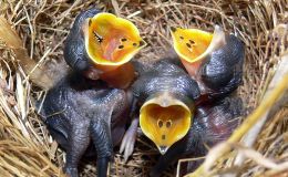 Lee’s Five Word Friday –&nbsp;5/20/16