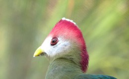 Having Computer Problems and Bad&nbsp;Weather