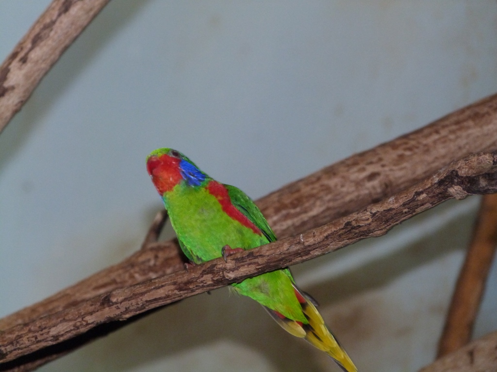 Cincinnati Zoo 9-5-13