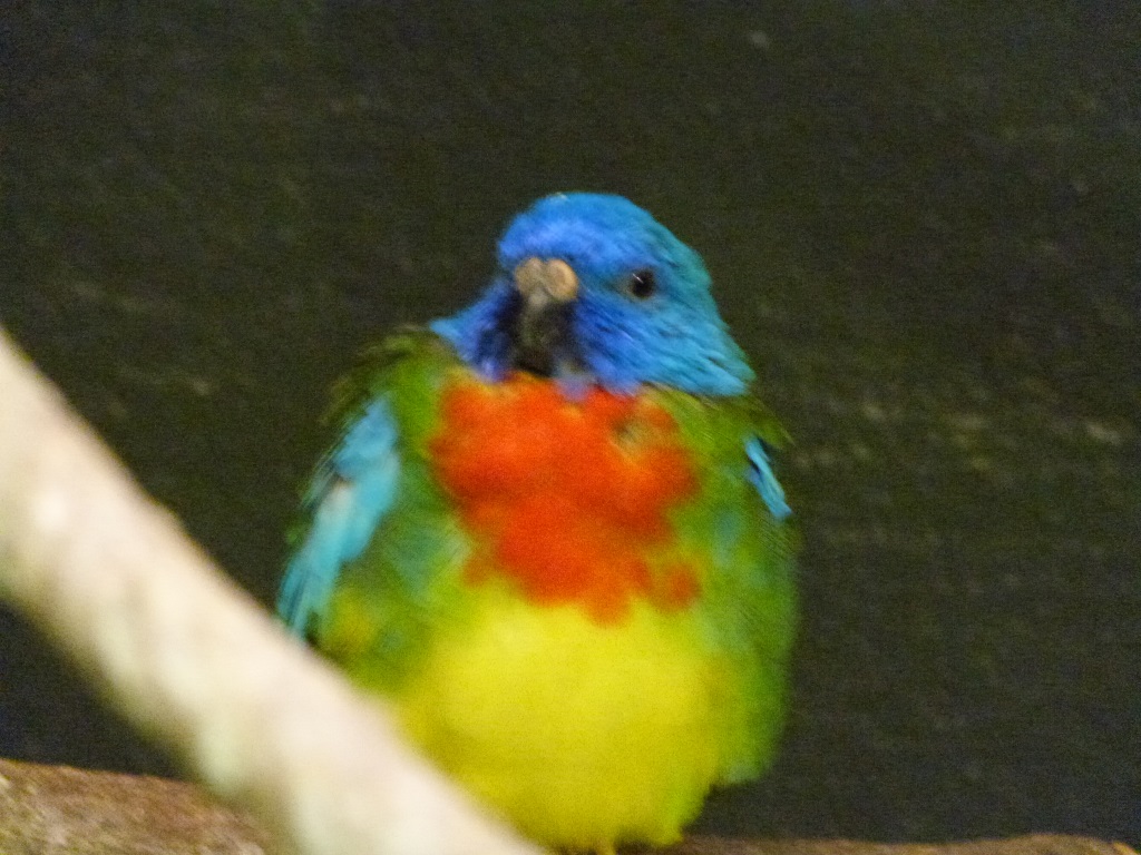 Cincinnati Zoo 9-5-13