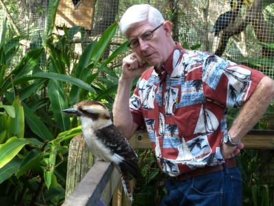 Laughing Kookabura Brevard Zoo
