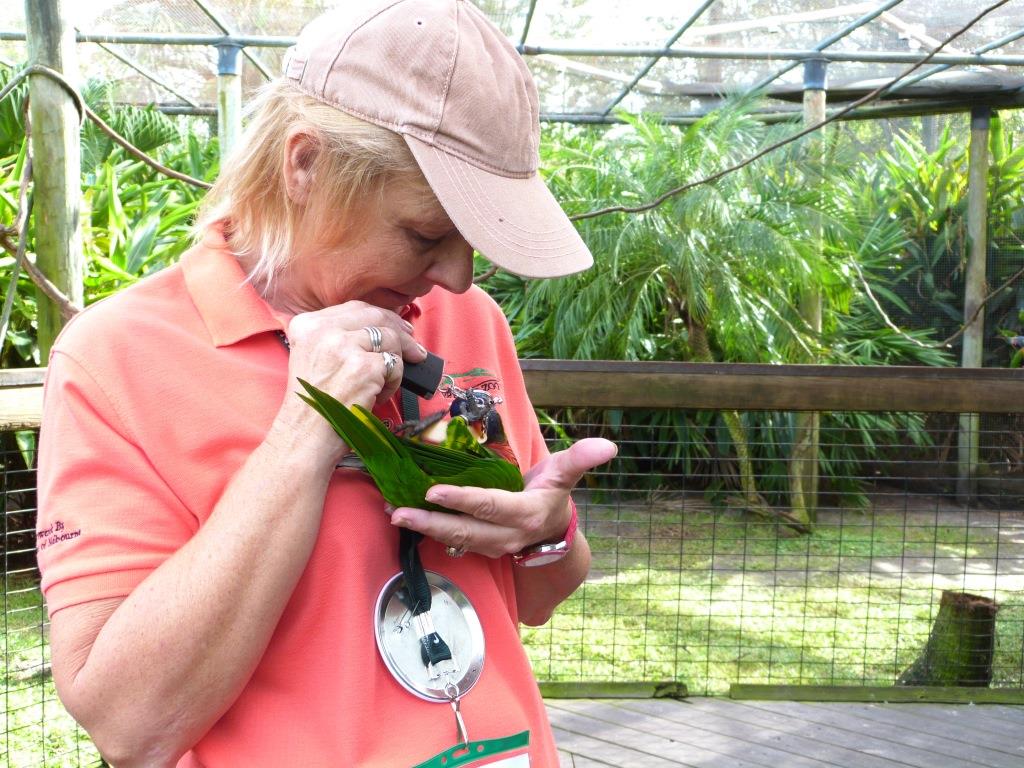 One of the keepers at Brevard Zoo
