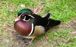 WHEN BEING “WRONG” IS RIGHT&nbsp;(Re-blog)