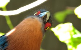 Lee’s Four Word Thursday –&nbsp;8/18/2016