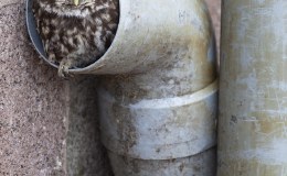 Just Because – If It Fits, I Sits Supercut&nbsp;Video