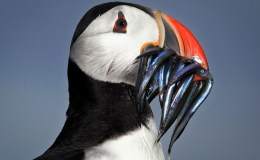 Lee’s Four Word Thursday –&nbsp;3/10/16