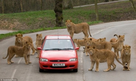 Don't sit around the house 6