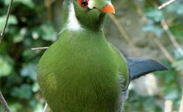 Lee’s Four Word Thursday –&nbsp;9/29/16