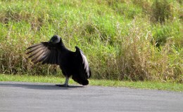 Lee’s Two Word Tuesday –&nbsp;3/15/16