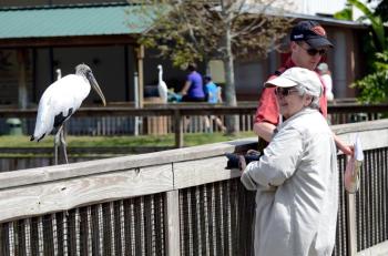 Lee with Wood Stork at Gatorland by Dan