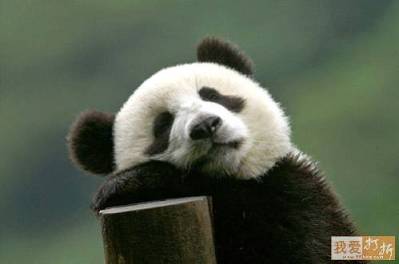 Shhhh! I'm reviewing...