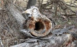 Shutterfly’s Faces of&nbsp;Nature