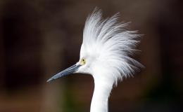 Lee’s Five Word Friday –&nbsp;2/3/17