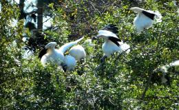 Lee’s Six Word Saturday –&nbsp;5/27/17