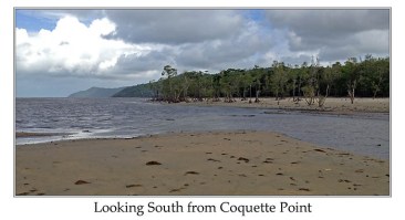 Looking South from Croquette Point by Ian