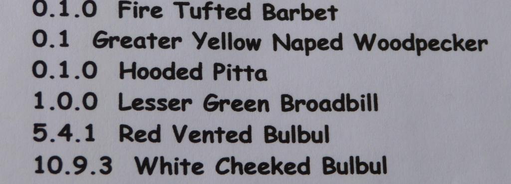 List of birds at Wings of Asia - Greater Yellow Nape