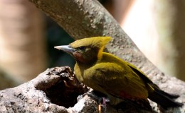 Lee’s Four Word Thursday –&nbsp;10/27/16