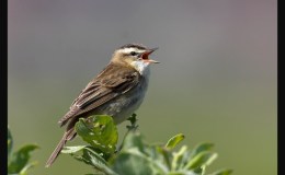 Lee’s One-Word Monday –&nbsp;1/25/16