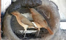 Lee’s Seven Word Sunday –&nbsp;12/4/16