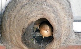 Lee’s Six Word Saturday –&nbsp;12/3/16