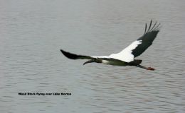 Lee’s One Word Monday –&nbsp;6/5/17