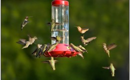 Lee’s Five Word Friday –&nbsp;2/10/17