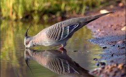 Sunday Inspiration –&nbsp;Thirst