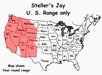 Steller's Jay (Cyanocitta stelleri) US Range Map ©WikiC