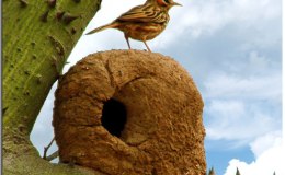 Lee’s Five Word Friday –&nbsp;12/2/16