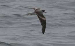 Lee’s Three Word Wednesday –&nbsp;10/5/16