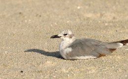 Lee’s Two Word Tuesday –&nbsp;6/21/16