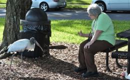 Lee’s Five Word Friday –&nbsp;9/2/16