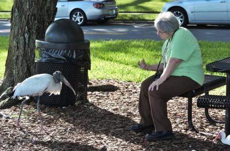 Woodstork & Lee by Dan at Lake Morton