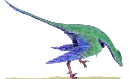 Fossil Fibers Befuddle Dinosaur Evolution from&nbsp;I.C.R.