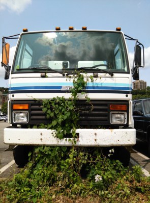 In Love With Words - Crying Truck and Virginia Creeper