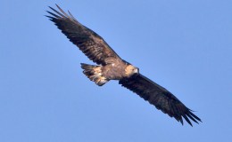 Universe: Life Anywhere&nbsp;Else?