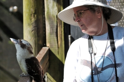 Lee with Laughing Kookabura at Brevard Zoo by Dan
