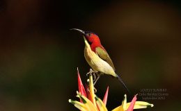 2013’s Christmas Day