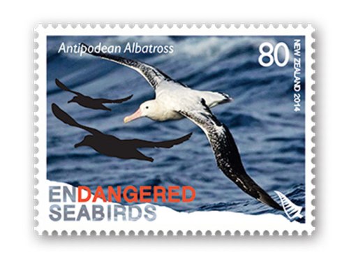 Antipodean Albatross (Diomedea antipodensis) Stamp by Ian