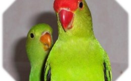 Lee’s Seven Word Sunday –&nbsp;4/3/16