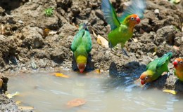 Lee’s Four Word Thursday –&nbsp;2/4/16