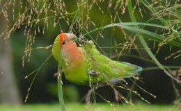 Lee’s Two Word Tuesday –&nbsp;3/1/16