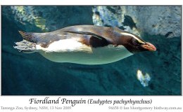 Sunday Inspiration –&nbsp;Creation