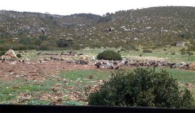 From Blind at Boumort National Reserve by Ian