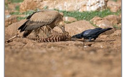 Lee’s Four Word Thursday –&nbsp;7/7/16